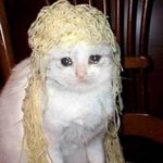 <b>Tmi</b> 털고가라