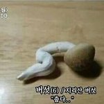 [댓글부탁해] 158/63은