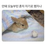 [댓글부탁해] 여기 올가미 비슷한 느낌의 <b>웹툰</b> 없냐