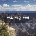 [이것좀봐줘] 바로 지금 하라~