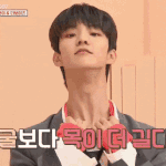 더보이즈 팬깅이들아