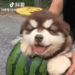 <b>성별</b>혐오에 대한 내 생각