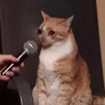 [댓글부탁해] 이런 여자 실연당한 여자같고 <b>처량</b>해보임?