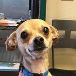 근데 트레저는 뭔가 <b>yg</b>느낌이 안ㄴ난다