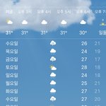 내일부턴 낮에도 <b>살맛</b>날득