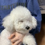 [댓글부탁해] 2<b>분내</b>로 끝나는 퍼스널컬러 설문조사 도와주실분들 ㅠㅠ(스타벅스...