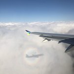 [이것좀봐줘] 내가 찍은 사진들이야!