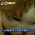 [이것좀봐줘] 몇몇 판녀 진짜 이거 고쳐야됨