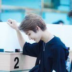 궤<b>빈</b>이 <b>이</b>짤