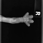 [추반] 디퓨저 향 추반하면 예뻐짐