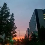 [댓글부탁해] 몰라 <b>내</b>가 여러 기회들을 날린 <b>탓</b>