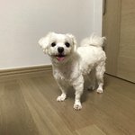 <b>이</b> 글에 들어오면 <b>행복</b>해질 거약