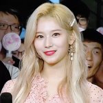 근데 진짜 이 짤 <b>합성</b> 아니고 ㄹㅇ임?