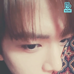 새끼더비때 <b>이</b>브이<b>앱</b>보고