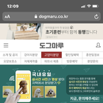고양이 분양관련 질문좀