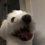 근데 좀 입냄새가 <b>심해</b>