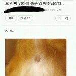[드루와] 애들아 에어<b>드롭</b> 항시 끄고 다녀..
