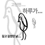 [EXO] 지들끼리 싸우든 뽀뽀하든 알아서 <b>하라</b>하고 회의 ㄱ