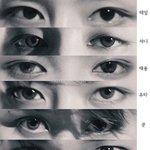 [NCT] 오른쪽 가리고 다 맞추면