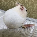 우리 엄마아빠 나한테 너무 관심이 없어