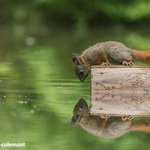 깊은 <b>산속</b> 옹달샘 누가 와서 먹나요오...