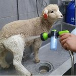 [댓글부탁해] 교복 <b>얼룩</b> 세탁소 가져가면 싹 없앨수있어??