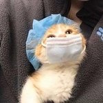 [드루와] <b>짝남</b> 이거 기대해도 되는 거임??