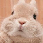 [드루와] 솔직히 올해 <b>대상</b> 다 정해진 듯