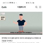 [펌] <b>홍삼</b>이 면역력에 미치는 영향
