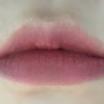 이거 립 무슨 <b>퍼</b><b>컬</b>중에 톤같아