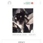 고1 1학기 3.2인데