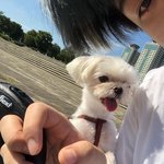 [드루와] 이거 몬엑 <b>셔누</b>임?? 급해