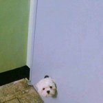 [19] 얘들아 나 설레는 꿈만 꾸면 이래...