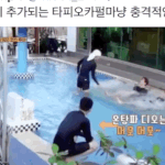 난생 처음 보는 <b>주접</b>