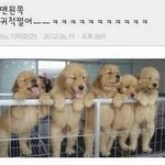[댓글부탁해] 고3 들아 자소서 혼자 힘으로 쓰는 애들있어?
