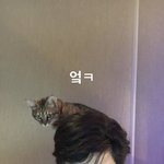 [댓글부탁해] 얘들아 짝남이 나핰테 보고싶다고햇는데