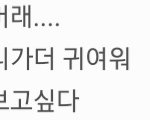 [댓글부탁해] 야얘들아급해 짝ㅇ남이 이렇게보냄어떳해