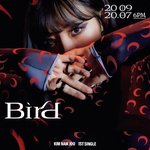 [모두드루와] 에이핑크 <b>남주</b> 솔로