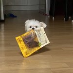 예전에 기분 조카 묘한 적 있었음