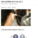 태풍갤 <b>염탐</b>하고왛는데
