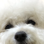 갱<b>얼</b>쥐 볼 사람