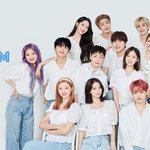 너희 취향인 소속사있냐