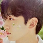 팬들에게 반응 좋은 김요한 <b>포토북</b> 맛보기