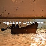 [니들꼭봐라] <b>시련</b>으로부터 도망치지 마라~
