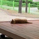 어쩌면 나 이번 겨울<b>방학</b>때 쌍수할수도 있음
