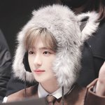 몰캉몰캉한 <b>재질</b>의 복슬 아이돌