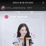 장원영 요즘 왤케 <b>앙큼</b>고양이상같지