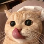 [댓글부탁해] 혐주의)피부에 대해 잘아는사람 ㅜㅜ