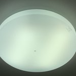 아 ㅈㅂㅈ벌레어떡해