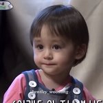 [댓글부탁해] 언매 화작 뭐해야되지ㅠㅠㅠ진짜